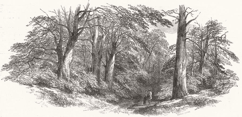 LANDSCAPES. No Caption 1852 old antique vintage print picture